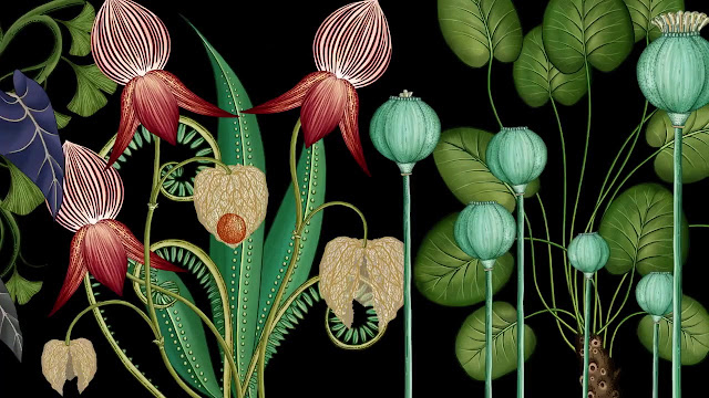 Animated Botanical Wallpaper by James Paulley & Katie Scott