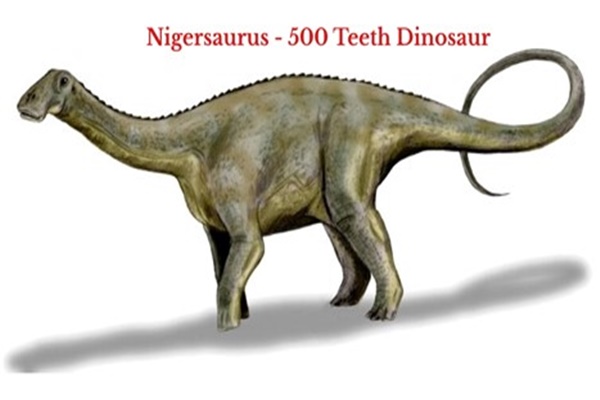 What dinosaur has 500 teeth