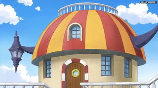 ワンピースアニメ 778話 サニー号 | ONE PIECE Episode 778