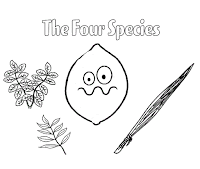 The Four Species coloring page
