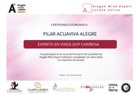 EXPERTO EN “DOP CARIÑENA”