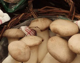 Mushroom supplier in Mangalore