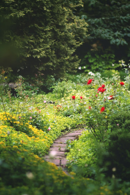 5 geniale Hacks, die jeden Garten schöner machen.