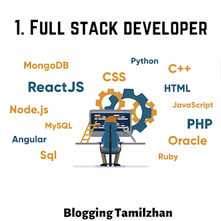 Full Stack Developer