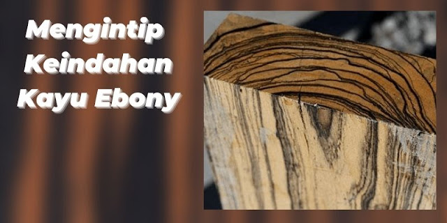 keindahan kayu ebony