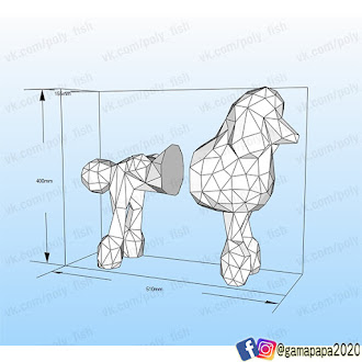 橘子爸│貴賓狗 poodle #2