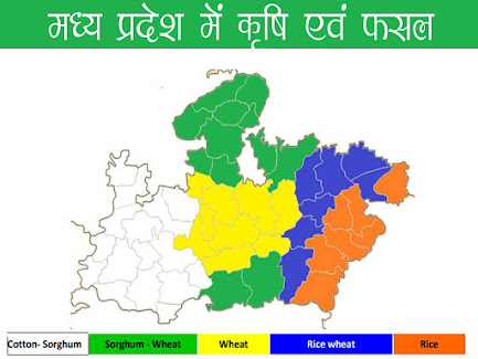 MP (Madhya Pradesh) Krishi Fasal। मध्यप्रदेश में कृषि  एवं फसल महत्वपूर्ण जानकारी । Crops of MP