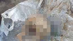 Kades Cibanteng Ungkap Misteri Temuan Kerangka Manusia di Bendungan PLTN