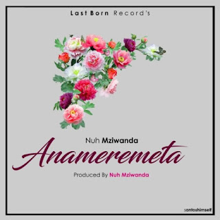AUDIO | Nuh Mziwanda – Anameremeta | Mp3 Download