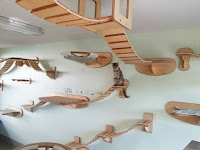 Habitaciones para gatos