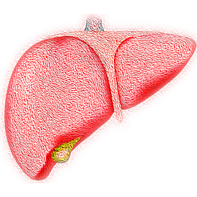 Benefits Of Quitting Sugar-reduced risk of non alcoholic fatty liver disease NAFLD