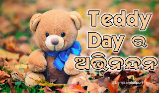 Teddy Day image in odia