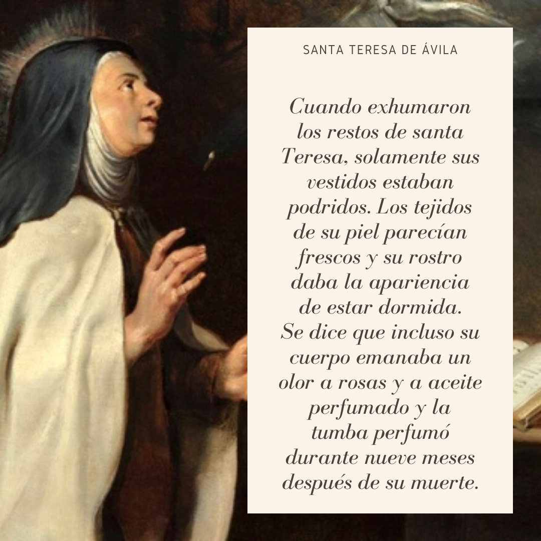 https://www.notasrosas.com/¿Qué sabe usted sobre el olor de los santos?