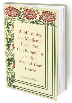 The Home Doctor - Practical Medicine for Every Household