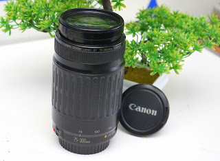 Canon EF 75-300mm F4-5.6 Bekas