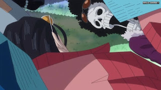 ワンピースアニメ ゾウ編 767話 | ONE PIECE Episode 767