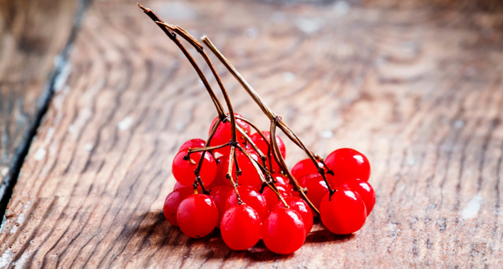 Red Viburnum Berries - Medicinal Properties, Cooking Recipes, Contraindications