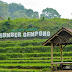 Wisata Sumber Gempong Pacet Mojokerto