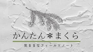 虫以外のブログはこちら。よかったら覗いてみて下さい。⬇️