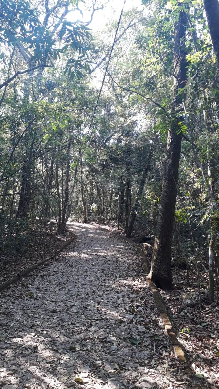 Atrativos do Parque das Mangabeiras em Belo Horizonte