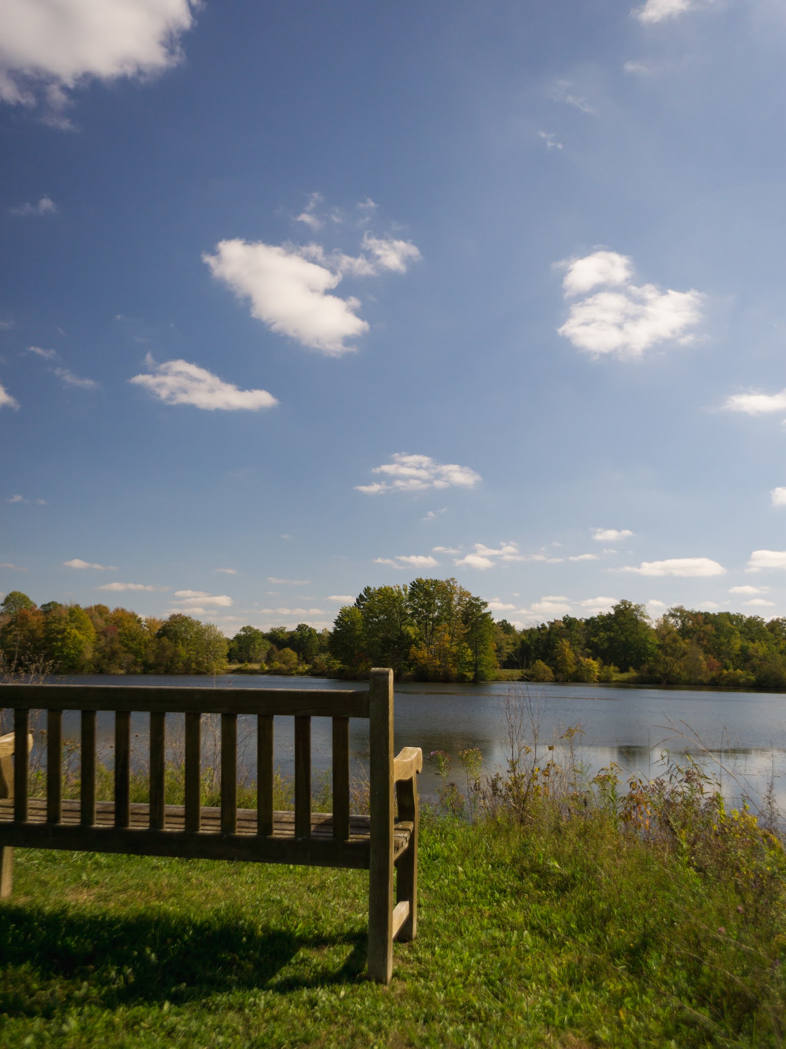 Bench and lake