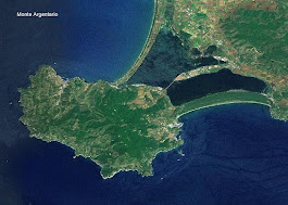 A satellite photograph that shows how much of the promontory is covered with trees