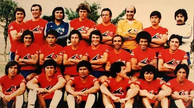 wILSTERMANN cAMPEON 1981