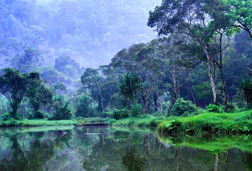 Hutan Wisata Baning , hutan Kota Sintang