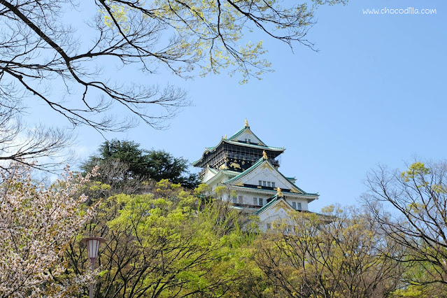 7 Tempat Wisata yang Dikunjungi untuk Melihat Sakura di Jepang