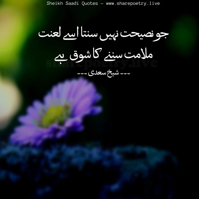 amazing Sheikh Saadi Inspirational Quotes in Urdu - Quotes Urdu images