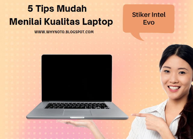 5 Tips Mudah Menilai Kualitas Laptop: Stiker Intel Evo Salah Satunya