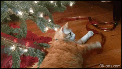 Christmas Cat GIF • Happy cat playing hard with decoration under Xmas tree, haha [ok-cats.com]