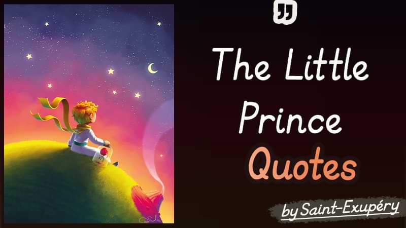 The 45+ Best The Little Prince Quotes about  Life & Love