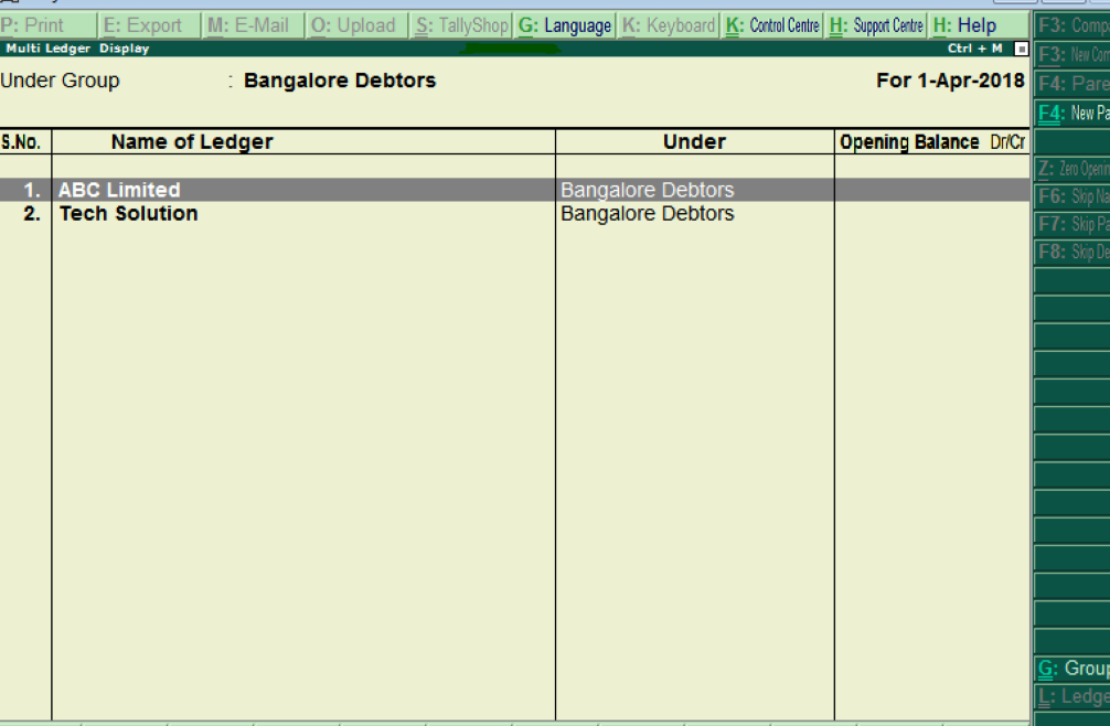 How to Display Multiple Ledgers in Tally