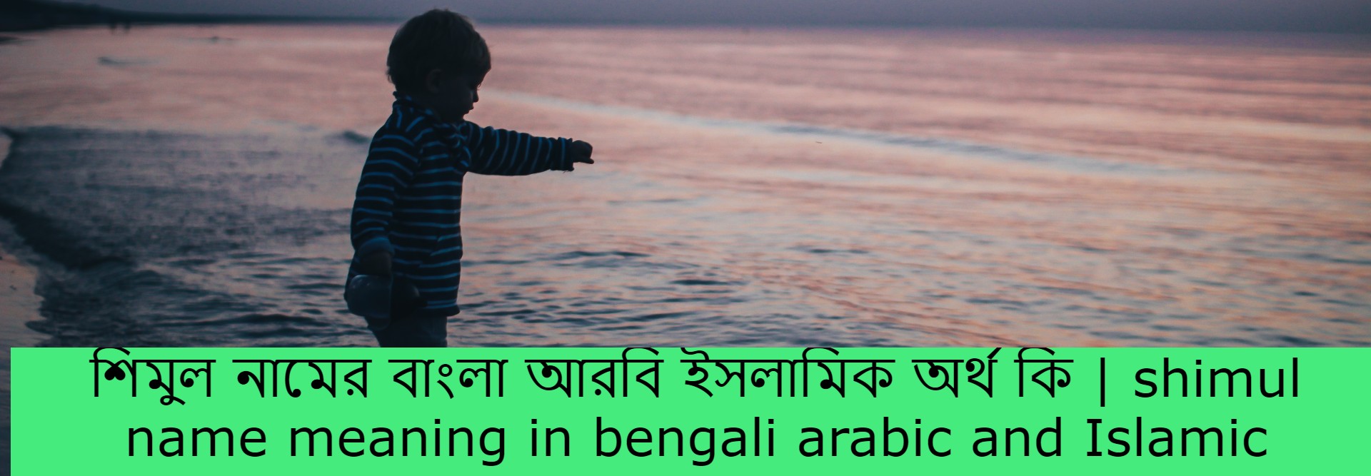 শিমুল নামের অর্থ কি , শিমুল নামের বাংলা অর্থ কি , শিমুল নামের আরবি অর্থ কি , শিমুল নামের ইসলামিক অর্থ কি , shimul name meaning in bengali arabic and islamic , shimul namer ortho ki , shimul name meaning ,শিমুল কি আরবি / ইসলামিক নাম