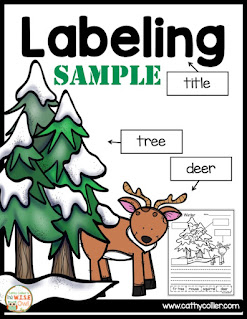 Labeling is an easy way to get early writers to write! Students can label pictures, then write about their labels.