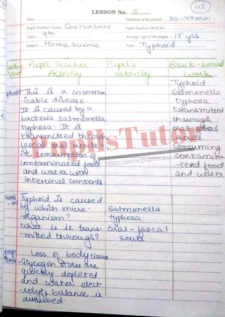 Home Science Lesson Plan On Typhoid For Class/Grade 8th , 9th And 10 For CBSE NCERT School And College Teachers  – (Page And Image Number 3) – www.pupilstutor.com