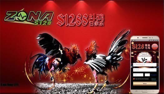 Adu Ayam Pw Sv388 Agen Sabung Ayam Online Indonesia