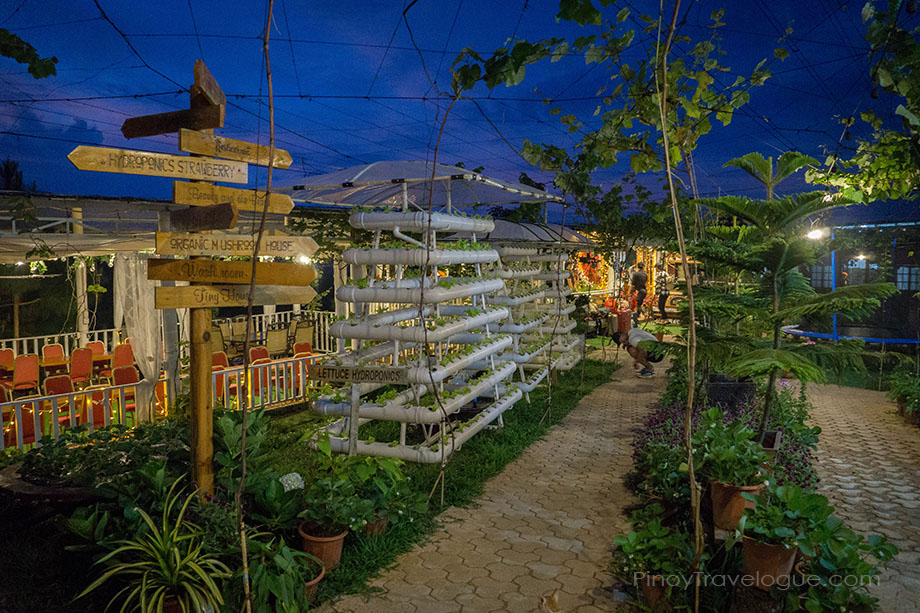 Taglucop's lush garden and restaurant