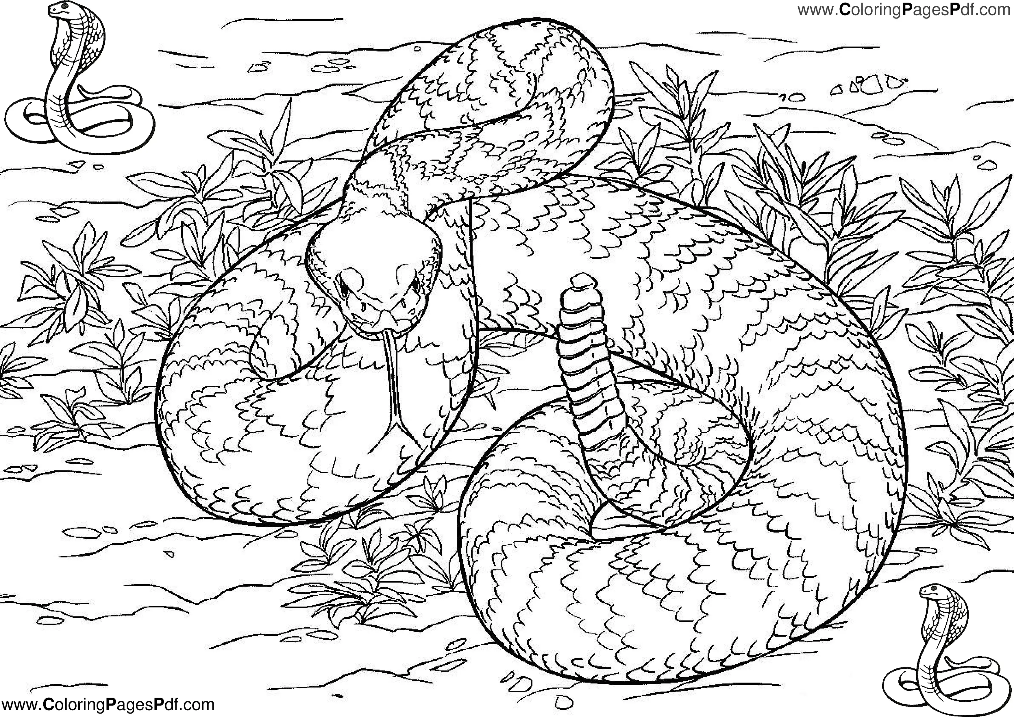 Snake coloring pages PDF