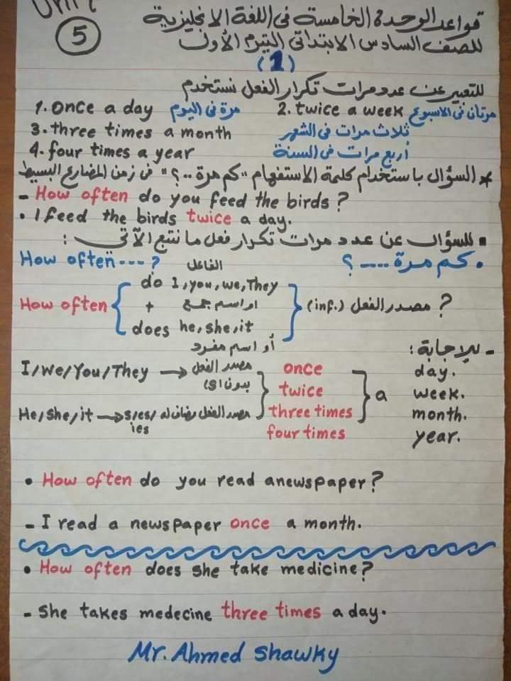 مراجعة ليلة الامتحان لغة انجليزية الصف السادس وبنك أسئلة متوقعة من ملحق الجمهورية AVvXsEjidkKXJuqXIOIudAI8-7kf3sBxNTxrjBE5TxebBK8IAbpwgTZkKmJXfmBkKoAUXR9UqJv0nvj5A-hM5Ym266sPiMYkZQVT1x052PI7WHLf8D9-RaRn9aV8RowRbJ7WYU1QBqs_EKLRRczMgILw4Bc1l3b_3GS1_iueFrvkDhoGNVA4438lkuGRIUSgQA=s16000