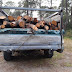 ASEGURAN MATERIAL FORESTAL EN EL PARQUE NACIONAL LA MALINCHE