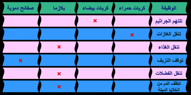 تمرين - البلازما - الكريات - الحمراء - البيضاء - الصفائح الدموية