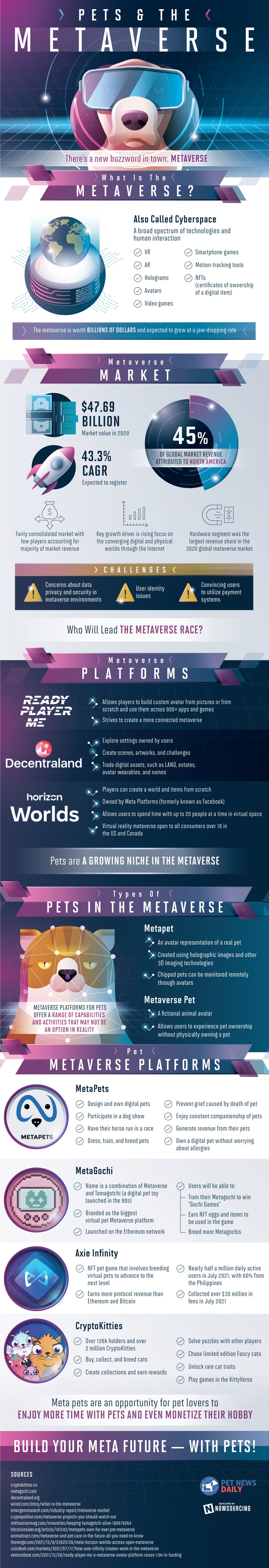 The Endless Possibilities of Pets in the Metaverse