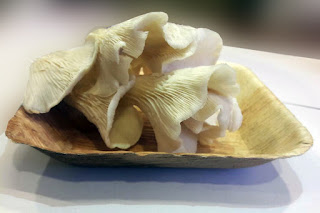 Oyster mushroom cultivation pdf.