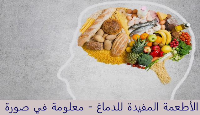 الأطعمة المفيدة للدماغ