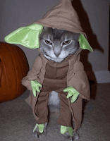 Disfraces de gatos para Halloween