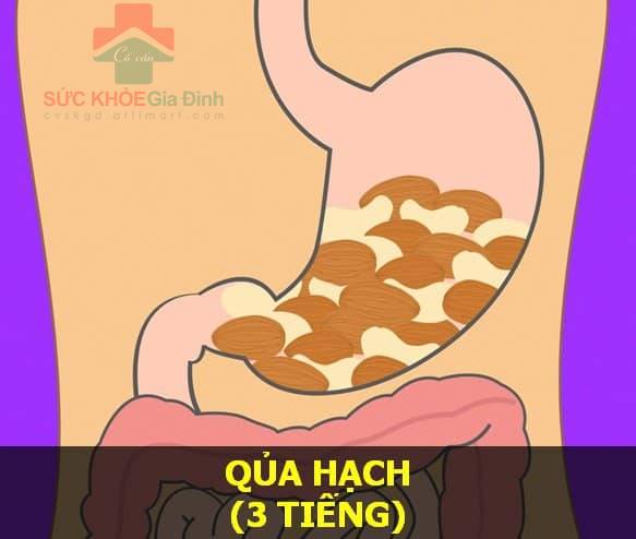 Tiết lộ thời gian tiêu hóa của các loại thực phẩm bạn ăn hàng ngày