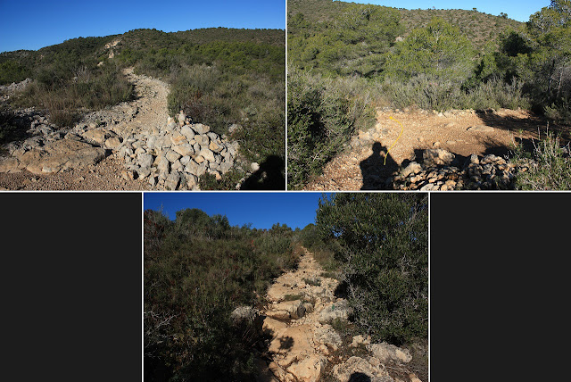 CIMS I COTES DEL BAIX PENEDÈS, EL VENDRELL-EL REPETIDOR-PUIG DEL LLEÓ-PUIG CLAPER-EL RAURELL-ROCA AGUILERA, corriol en direcció al Puig Lleó i per l'Obaga del Manso