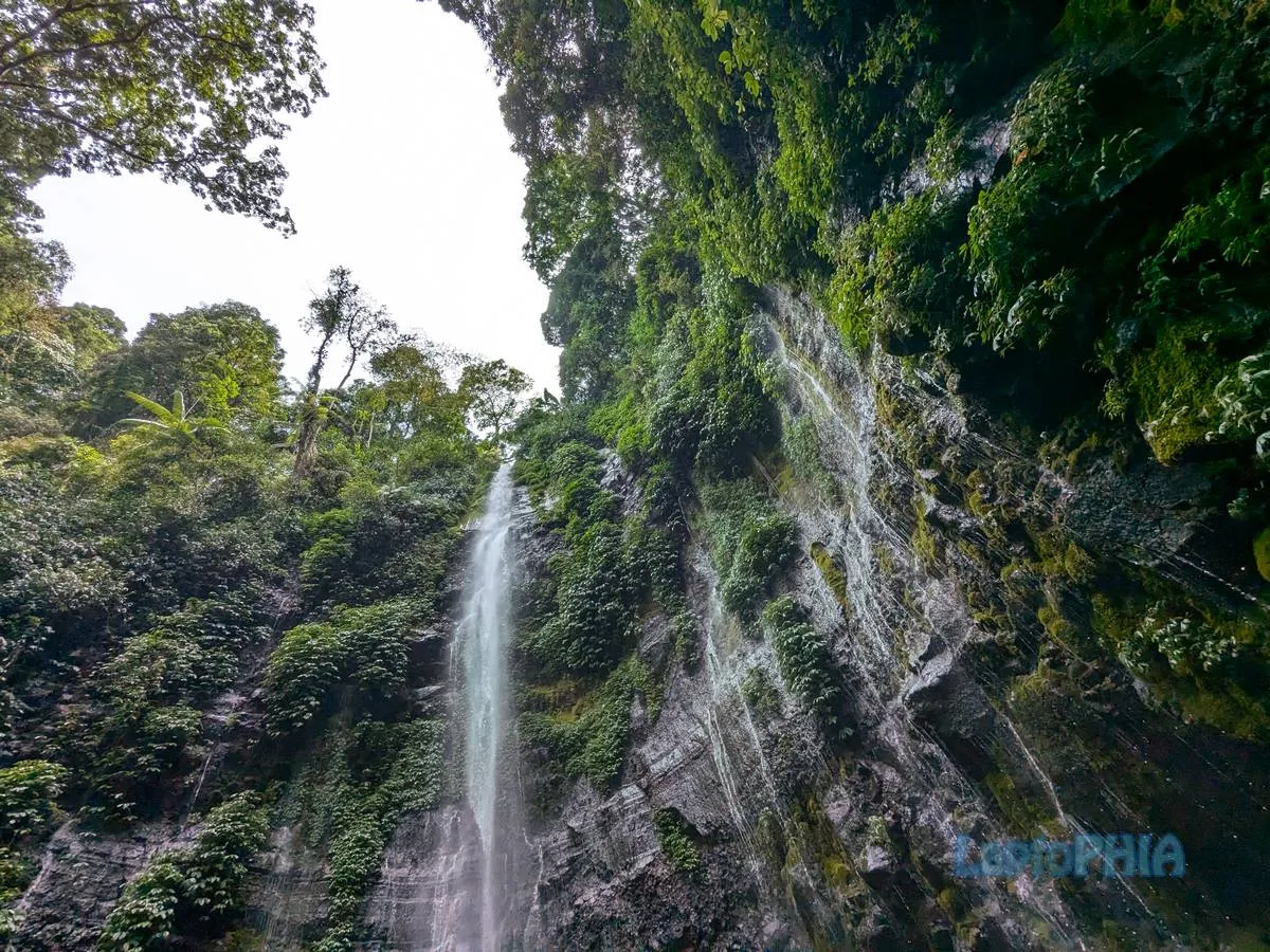 Hasil Foto Kamera Google Pixel 6a